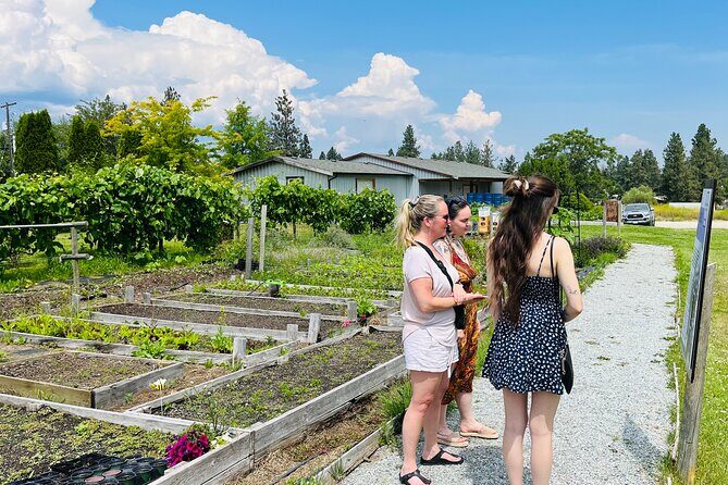 Okanagan Bee Tour and Lunch at Winery in Kelowna - Timing tips for your 11:30 am honey-and-bees schedule