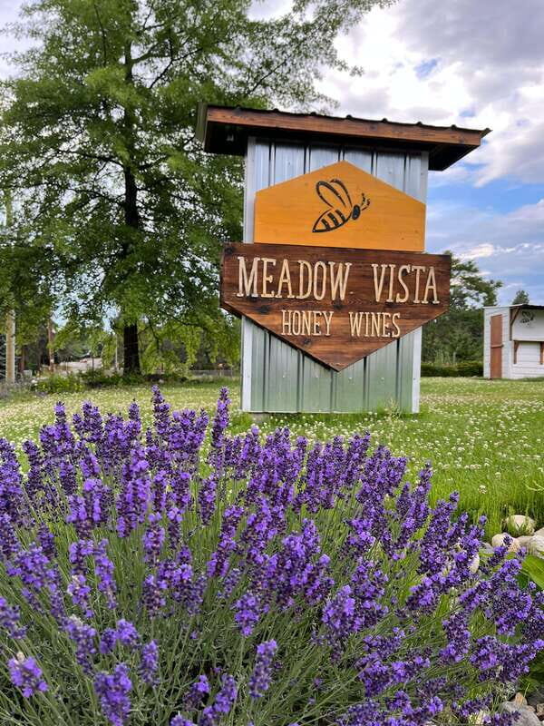Okanagan Bee Tour, Wine Tasting and Lunch at Kelowna Winery - Raw unpasteurized honey and infused tastings: what you’re really experiencing