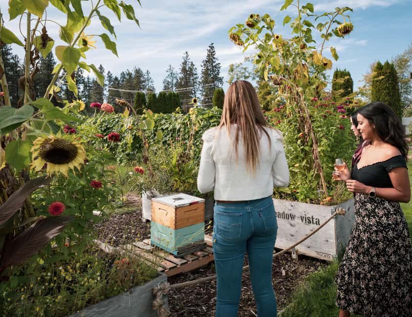 Okanagan Blackberry Fest; Wine Flights & Charcuterie Kelowna - Wine Flight Meets Local Charcuterie on the Outdoor Bistro Patio