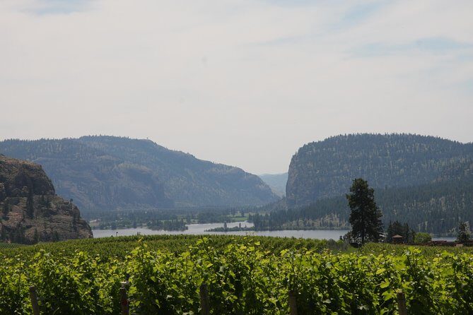 Okanagan Falls Private Wine Tour - Full Day - Timing, pacing, and the lunch reality