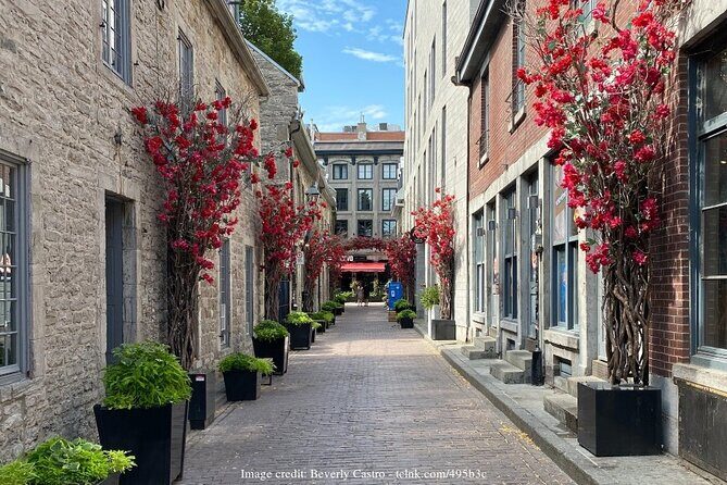 Old Montreal: Private History Walking Tour with Tastings - Place d’Armes and the Saint-Sulpice Seminary area (1687)