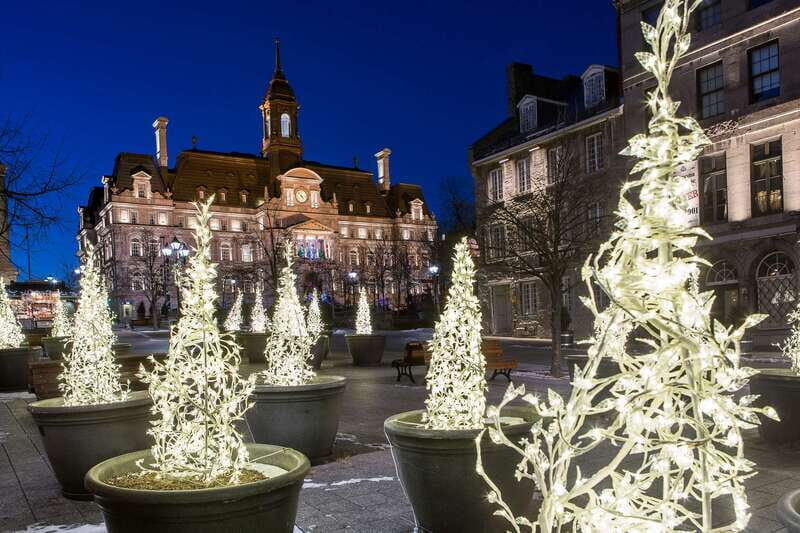 Old Montréal Small-Group Christmas Tour - Entering Old Montréal’s Christmas Season on Foot