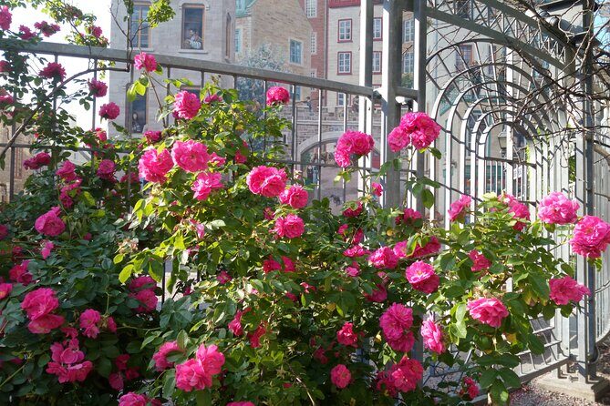 Old Quebec City Private Walking Tour : History and Nature - The Nature Angle: Climate and Everyday Life, Not Just Pretty Weather