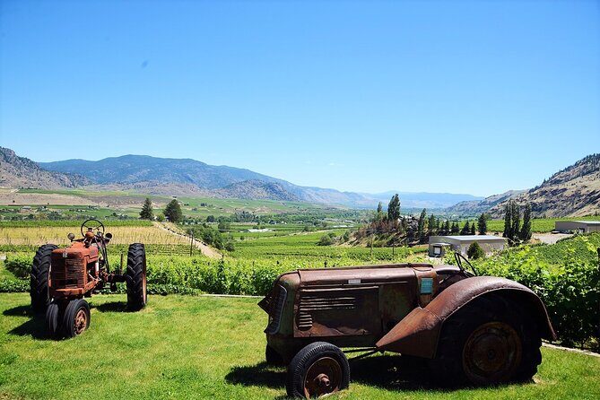 Oliver & Osoyoos Private Wine Tour - Full Day - Lunch at Hester Creek: You Can Set It Up, But Food Costs Extra