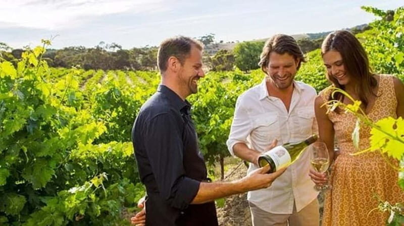 Ontario: Afternoon Wine Tour and Cheese Pairing - Niagara-on-the-Lake in an Afternoon: What 4 Hours Gives You