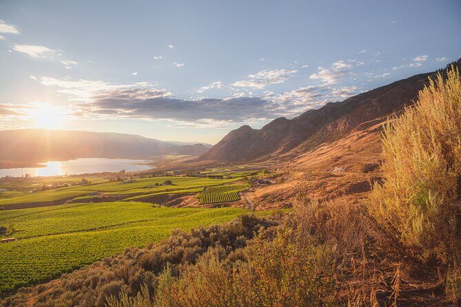 Osoyoos Half Day Wine Tour (Incl. Tasting Fees & Guide Gratuity!) - Stop 1: Burrowing Owl Estate Winery and Its Desert-Ecosystem Wine Approach