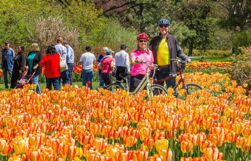 Ottawa: 2 or 3.5-Hour Guided Bike Tour with a Local Guide - Key highlights worth planning around