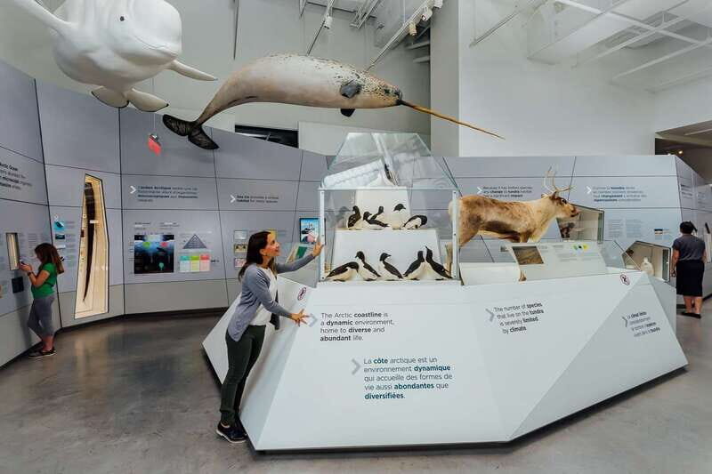 Ottawa: Canadian Museum of Nature Admission - Value and location: why this $19 ticket makes sense