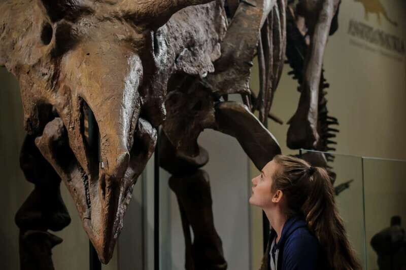 Ottawa: Canadian Museum of Nature Admission - Live exhibits that actually move the day along