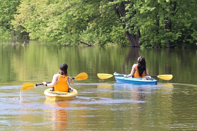 Ottawa: Ecological Reserve Kayak Tour with Turtle Sightings - Quick hits before you paddle