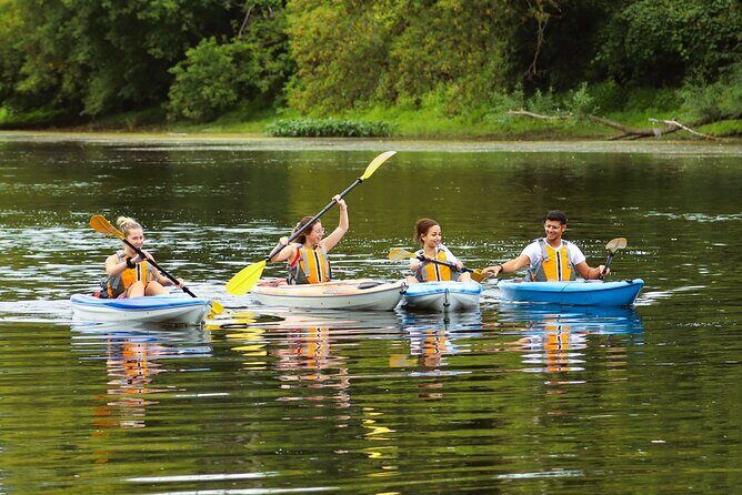 Ottawa: Ecological Reserve Kayak Tour with Turtle Sightings - Paddling Grandmaître Ecological Reserve: Ottawa’s nature break at 20 km