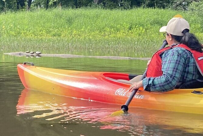 Ottawa: Ecological Reserve Kayak Tour with Turtle Sightings - Safety and instruction: beginner-friendly without babying you