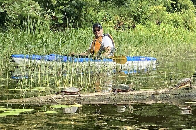 Ottawa: Ecological Reserve Kayak Tour with Turtle Sightings - The bilingual guide experience: English and French on one route
