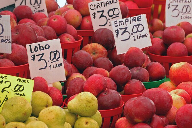 Ottawa Food Tour with ByWard Market Flavors & 6 Local Tastings - The guide makes it: Hannah and Austin set the tone