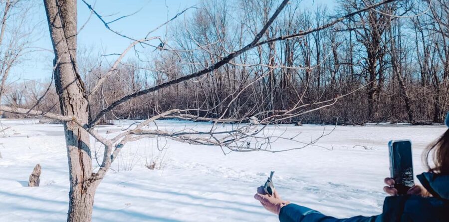 Ottawa: Guided Nature Walk & Wildlife Tour with Hotel Pickup - Key things you’ll remember from this Ottawa wildlife walk