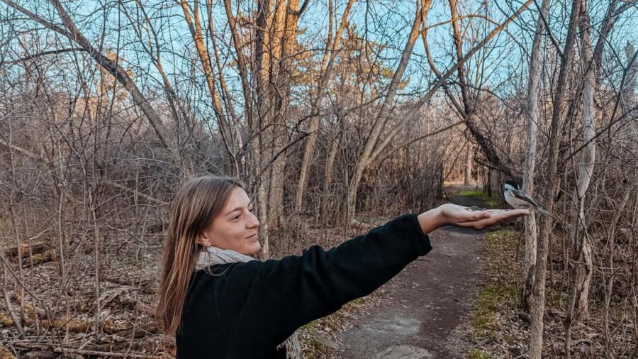 Ottawa: Guided Nature Walk & Wildlife Tour with Hotel Pickup - Getting from your hotel to Ottawa’s trail country in a Jeep/SUV