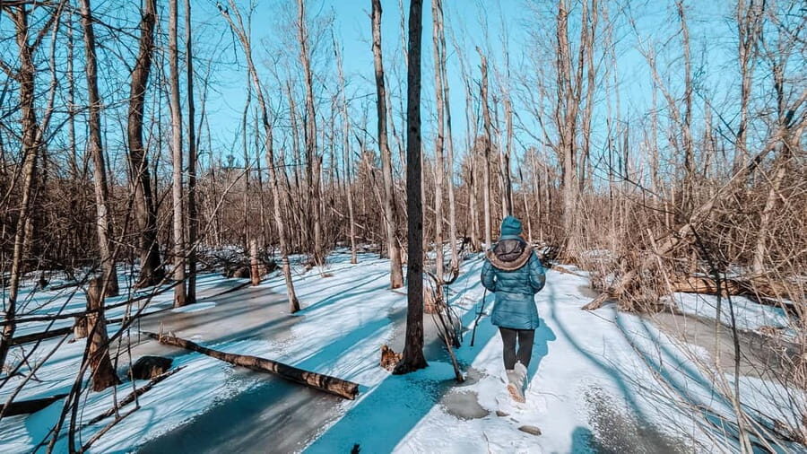 Ottawa: Guided Nature Walk & Wildlife Tour with Hotel Pickup - Practical tips before you go (so you don’t lose time outdoors)