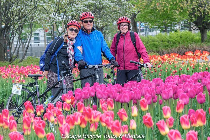 Ottawa Highlights 3.5 Hour Bike Tour - Canadian War Museum and the downtown pass-by sights