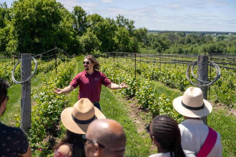Ottawa: Local Wine and Cider Tour - Who should book this Ottawa wine and cider tour