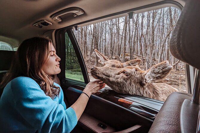 Ottawa Parc Omega Private Tour with Hotel Transfer - From Ottawa by Luxury SUV: Timing That Works