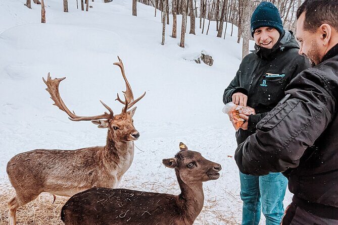 Ottawa Parc Omega Private Tour with Hotel Transfer - Price and Value: Is $253.67 Fair?