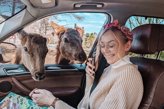 Ottawa Parc Omega Private Tour with Hotel Transfer - Deer Feeding With Carrots: The Moment You’ll Remember