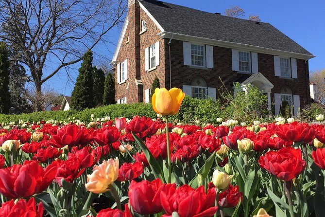 Ottawa Spring Tulip Festival Bike Tour - Price, pace, and the value of a guided bike loop