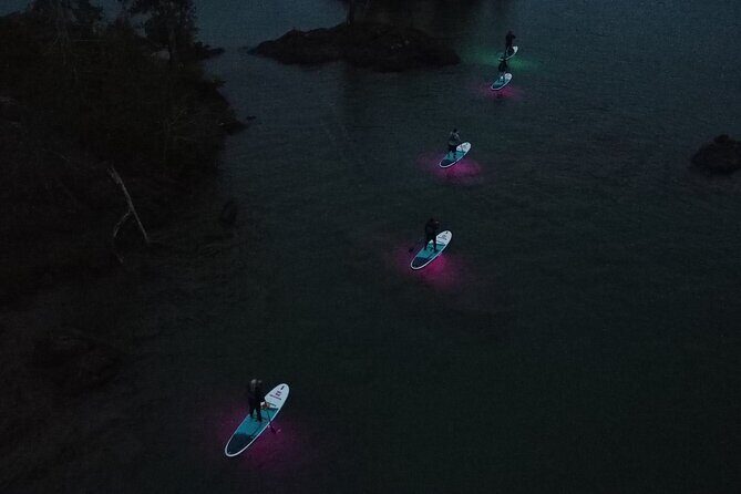 Paddle Out at Dusk for Glow Night Cruise in Gordon Bay - Paddle Out at Dusk: Why Gordon Bay Works for a Glow Cruise