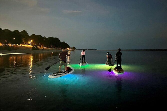 Paddle Out at Dusk for Glow Night Cruise in Gordon Bay - Your 90 Minutes on the Water: Route and What You’ll Actually Do