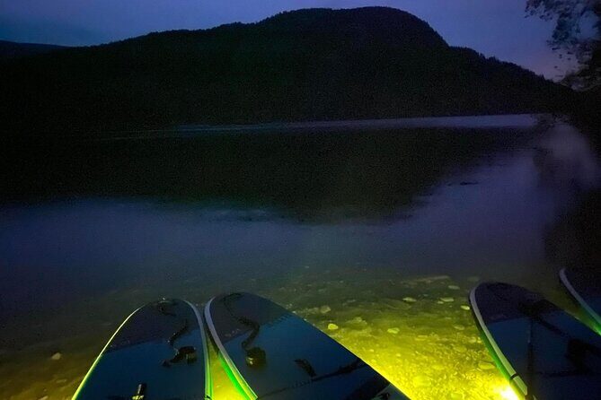 Paddle Out at Dusk for Glow Night Cruise in Gordon Bay - The Role of Josh: Beginner-Friendly Teaching in a Small Group