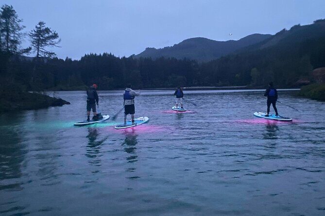 Paddle Out at Dusk for Glow Night Cruise in Gordon Bay - The Moss-Covered Cliffs: What to Expect When Darkness Turns Dramatic