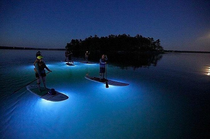 Paddle Out at Dusk for Glow Night Cruise in Gordon Bay - Price and Value: Is $51.58 Worth 1 Hour 30 Minutes?