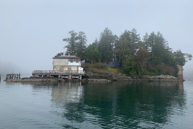 Paddling Esquimalt Harbor to Cole Island - Wildlife in Esquimalt Harbour: What to Watch For