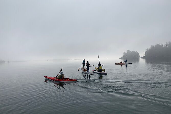 Paddling Esquimalt Harbor to Cole Island - Coaching and Group Size: How You Stay Confident on the Board