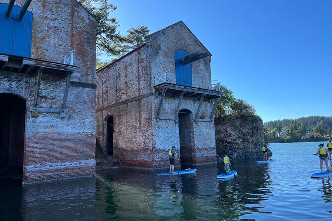 Paddling Esquimalt Harbor to Cole Island - Price and Value: What $59.39 Actually Buys You