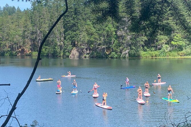 Paddling Thetis Lake - What makes this tour feel worth it (beyond the checklist)