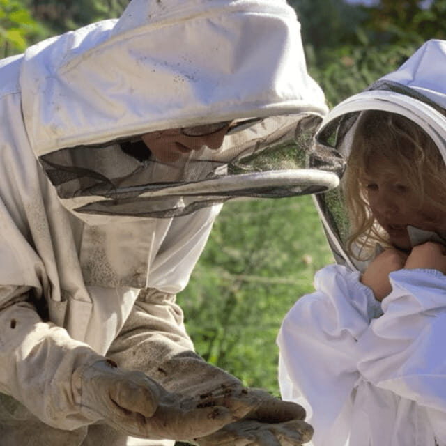 Paradise Valley: Bee Adventure Tour! - Key Highlights You’ll Feel Right Away