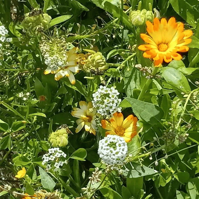 Paradise Valley: Bee Adventure Tour! - Price and Value: What $32 Gets You in One Hour