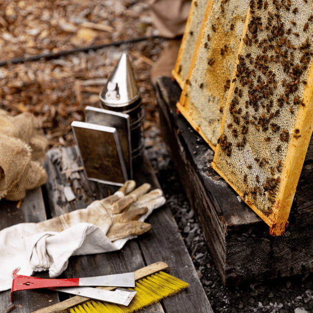 Paradise Valley: Bee Adventure Tour! - What Happens During the Tour: From Hives to Honey Tasting
