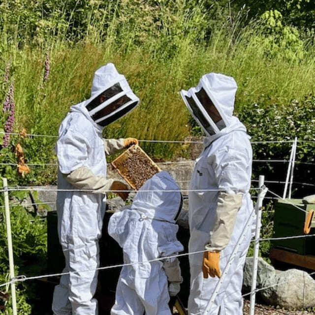 Paradise Valley: Bee Adventure Tour! - Quick FAQ for the Bee Adventure