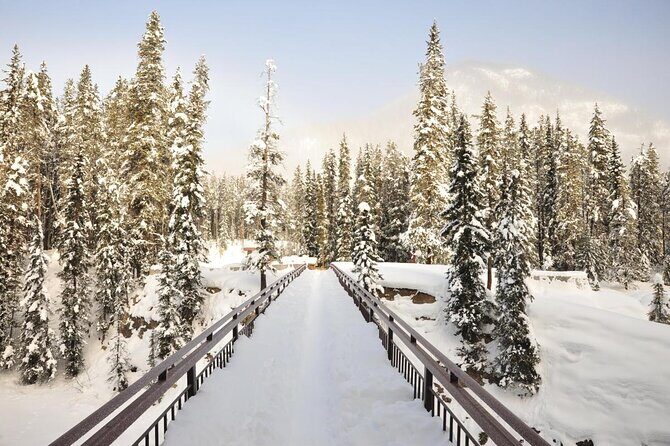 Personalized Private tour to Banff, lake Louise from Calgary - Key Points You’ll Appreciate