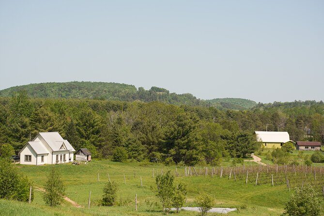 Petite Nation Wine & Cider Tour - Day Trip From Ottawa & Gatineau - A full day of wine and cider, without doing the driving math