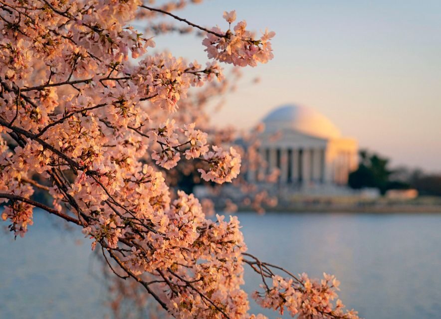 Philadelphia and Washington DC 2-Day Trip from New York - Practical tips to make the most of limited time