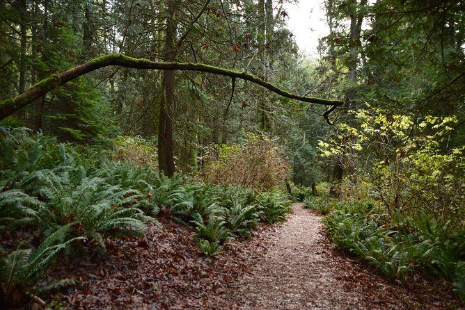 Photography, Hiking & Ferry to Bowen Island - Stop-by-stop: from Horseshoe Bay to Killarney Lake