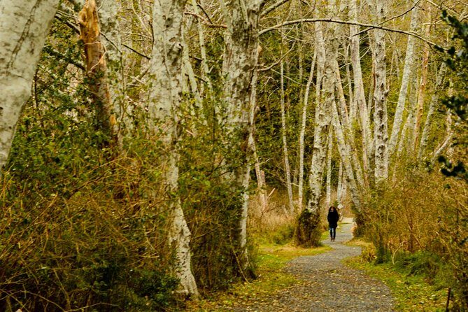 Photography, Hiking & Ferry to Bowen Island - What to wear, bring, and pack for fall color forest light