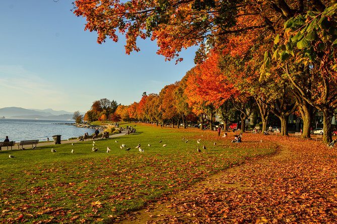 Photography & Hiking in Nature - Granville Island: lunch at the market and color-first photography