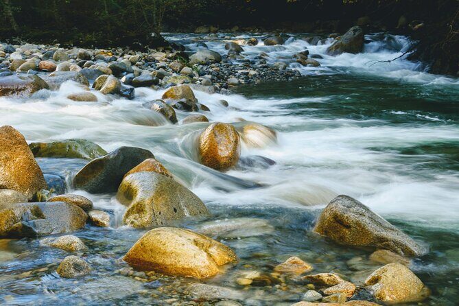 Photography in Rainforest & Suspension Bridge - Gear, Rain, and Comfort: What to Bring for a Real Rainforest Day