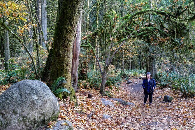 Photography in Rainforest & Suspension Bridge - Price and Value: Does $86.08 Make Sense?