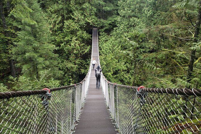 Photography in Rainforest & Suspension Bridge - Stop 1: Lynn Canyon Park Suspension Bridge and Waterfall Shots