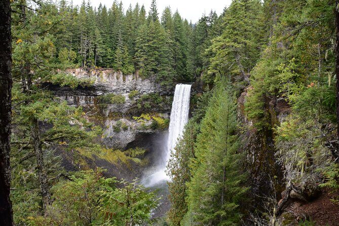 Photography & Sightseeing in Whistler & Squamish - Stop 3: Brandywine Falls Provincial Park—scenery that supports your waterfall photos (30 minutes)